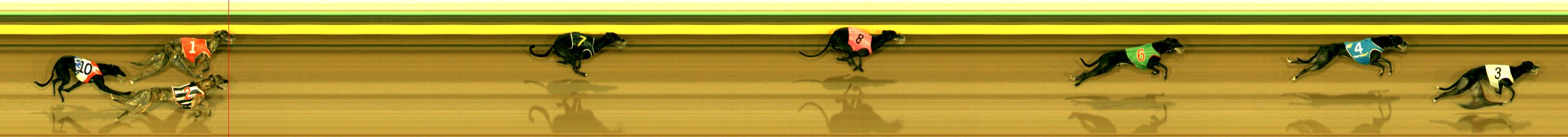 Race result finish photo